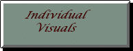 Individual Visuals